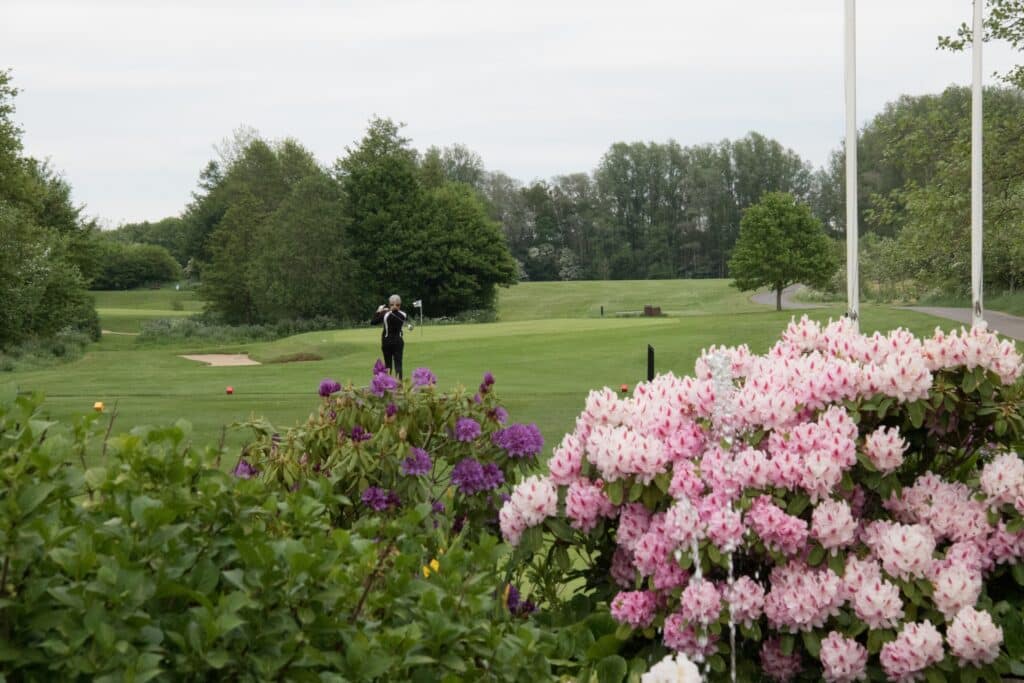 Golfbane - Billede fra klubhuset